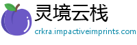 灵境云栈